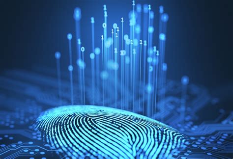 Have you ever wondered what the differences between digital currency and cryptocurrencies are? Demystifying technologies for digital identification