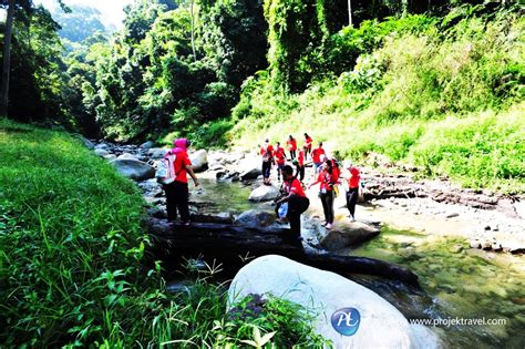 Industri pelancongan di malaysia telah dikenalpasti sebagai pendorong utama di dalam sektor perkhidmatan. Destinasi pelancongan hutan di malaysia Spesial 2017 ...