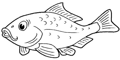 60 Desenhos De Peixes Para Colorir Dicas Práticas