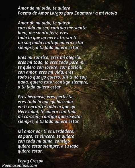 Mejores Poemas De Amor Largos Para Enamorar A Mi Novia Poemas Online