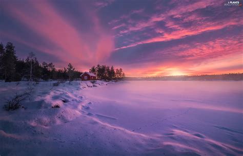 Ringerike Norway Lake Trees Great Sunsets Winter House Clouds