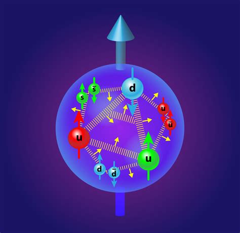 Physics Viewpoint Spinning Gluons In The Proton