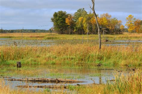 Minnesota Fall Season Natural Landmarks Landscape Outdoor Spaces