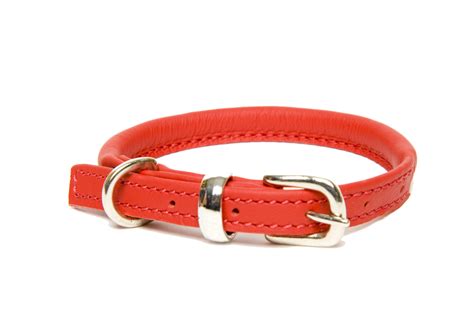 As ceo of red collar pet foods, chris hamilton leads one of the only pet food manufacturers in the nation to have fssc 22000 food safety certification—a red collar's evocative design presence is also evident in their manufacturing facilities. Best Red Dog Collars - Chelsea Dogs Blog