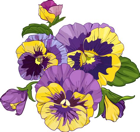 Flower Arrangement Of Pansies Isolated On A White Background Bouquets