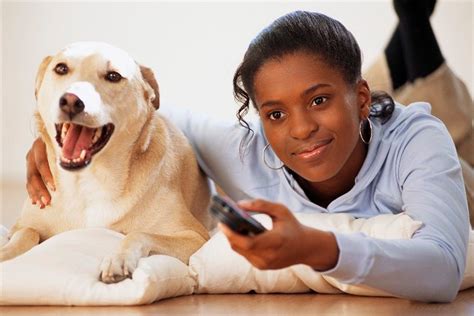 10 Ways To Take Care Of Your Pets Botswana Youth Magazine