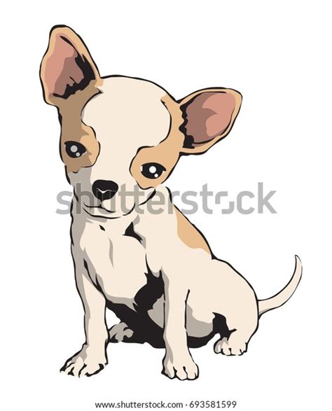 Chihuahua Stock Vector Royalty Free 693581599 Shutterstock