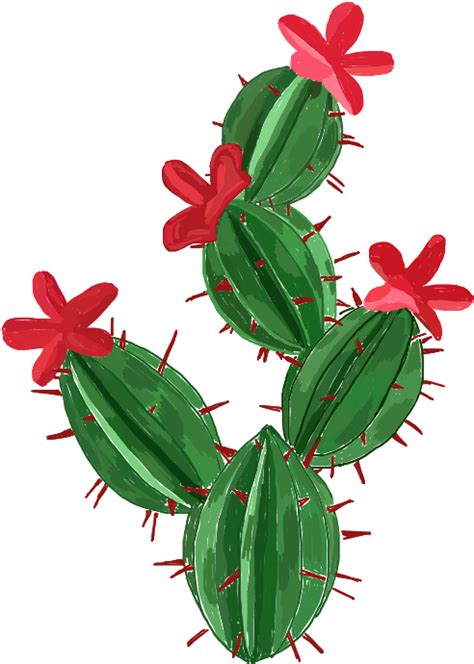Download Transparent Nopal Png Cactus Arts And Crafts Clipartkey