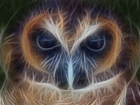 Brown Wood Owl Fractal Art Drawing By Pixie Copley Lrps Saatchi Art