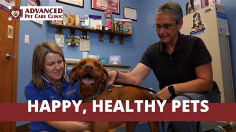 Our offerings range from routine preventative care to advanced diagnostics, laser therapy, orthopedic surgery, dentistry, behavioral and nutritional counseling, and boarding. Cedar Valley Iowa Veterinary Care | Advanced Pet Care ...