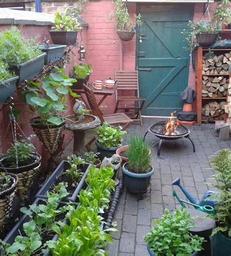 How To Use Tanglefoot Backyard Food Growing Back Yard Growing