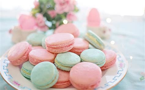 Pastel Macarons Aesthetic Ultra Food And Drink Colors Plate Sweet