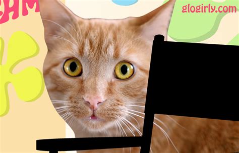 Ok maybe that's a little too much, but cats are great and so are our selection of cat themed games! GLOGIRLY: TV Trip: The Dating Game CATS
