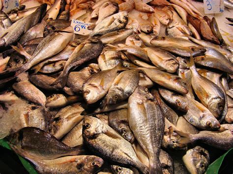 This is the only restaurant in barcelona where you can order food while swearing. Spanish Dorado Fish on Ice at La Boqueria Market in ...