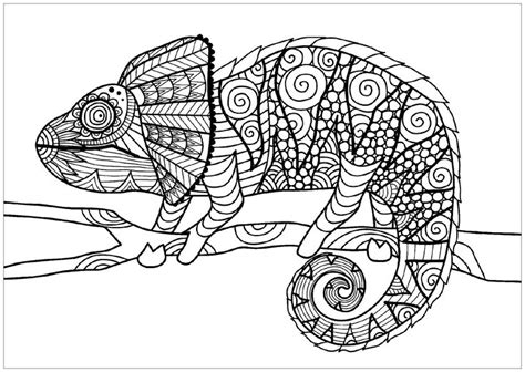 Chameleon pens are an alcohol based marker chameleon. Pin on Art for 5th