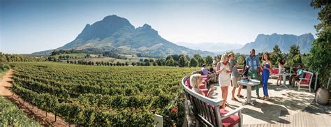 Cape Towns Route 62 Is The Worlds Longest Wine Route