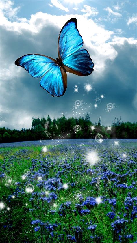 Butterfly Mobile Wallpapers Top Free Butterfly Mobile Backgrounds