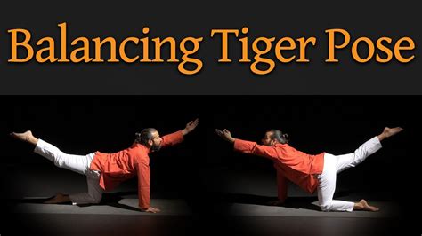 How To Do Balancing Tiger Pose YOGASANA 282 283 YouTube
