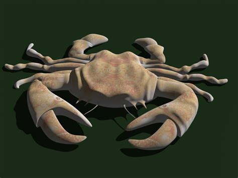 crab free 3d models download free3d