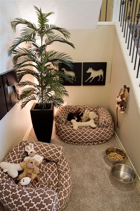 10 Rooms That Are A Dogs Dream