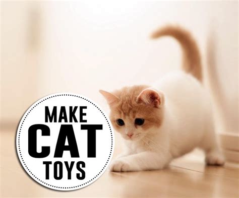 Diy Cat Toys Andreas Notebook