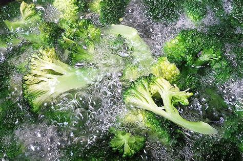 When And How To Harvest Broccoli Gardeners Path 2023
