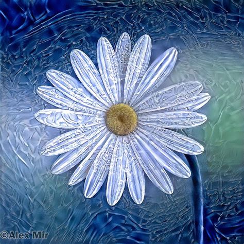 Ice Daisy Flower By Alex Mir Flower Art Flowers Daisy Flower