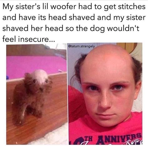 The Best 10 Bald Dog Memes Latiarosel