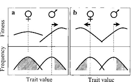 figure 1 from intralocus sexual conflict can drive the evolution of genomic imprinting