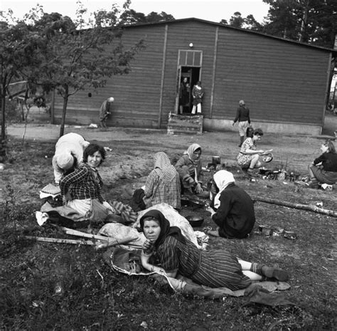 bergen belsen photos from the liberation of the notorious camp 1945