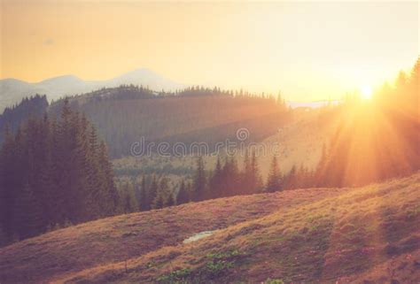 Beautiful Spring Mountain Landscape At Sunrise Stock Photo Image Of