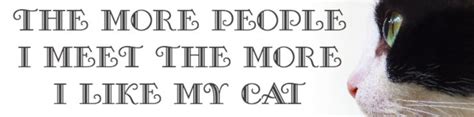 The More People I Meet Cat Bumper Sticker