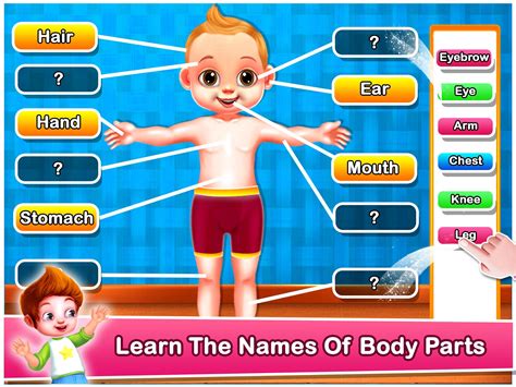 Human Body Parts Preschool Kids Learning Games For