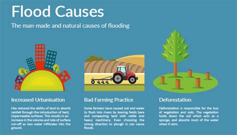 Flood Infographic Types Causes And Cost Of Flooding
