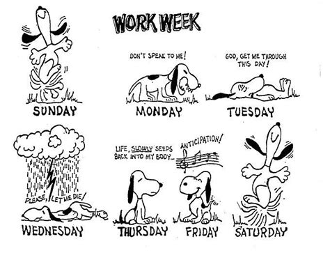 The Typical Work Week