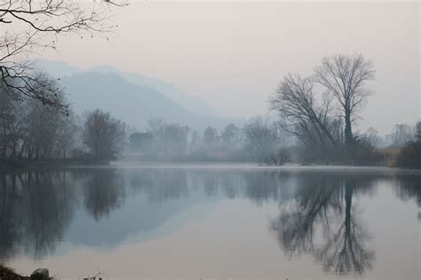 Adda Nebbia Sul Fiume 2 Juzaphoto