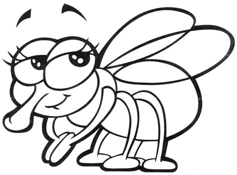 Fly Coloring Page Sketch Coloring Page