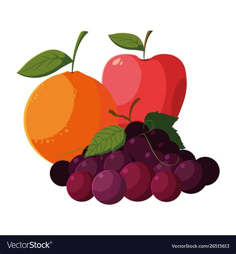 Fresh Fruits Orange Apple And Grapes Royalty Free Vector
