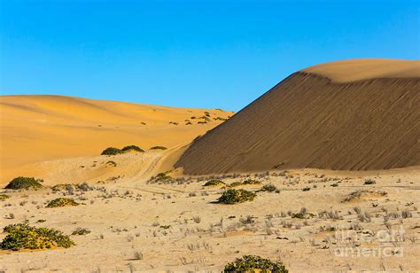 Sand Dunes Of The Namib Desert Photograph By Rudi Venter Fine Art