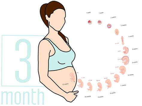 Months Pregnant Telegraph