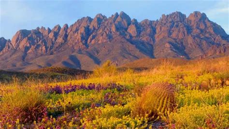 Organ Mountains Desert Peaks National Monument Tv