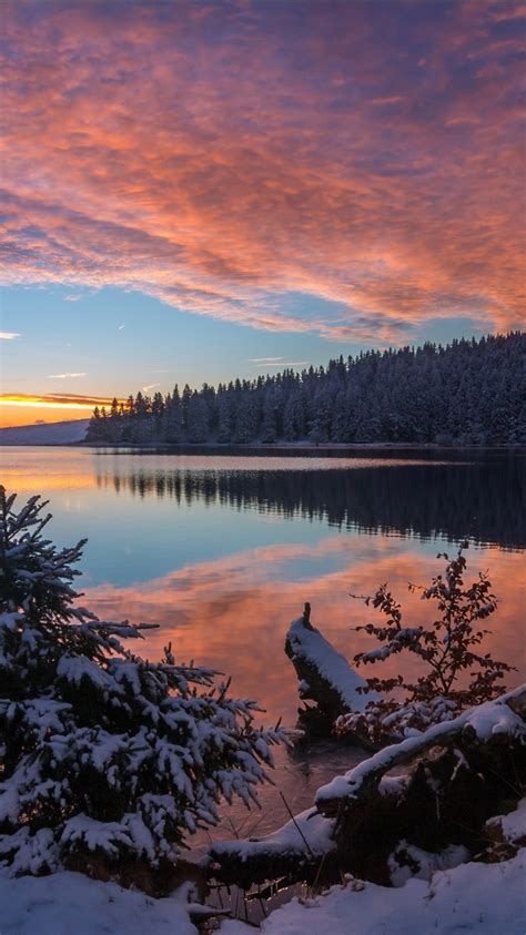 Forest With Reflection On Lake Under Sky And Snow Spruce During Sunset