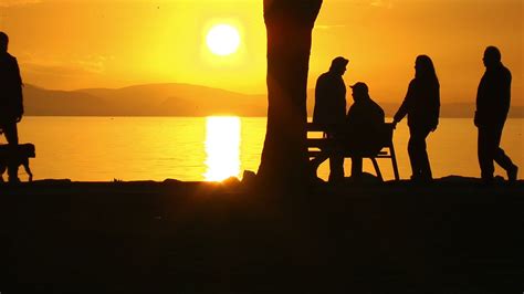 Lonely Man Walking People At Sunset Stock Footage Sbv 312202216