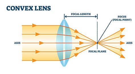 Concave And Convex Lenses And Mirrors