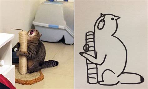 Ultra Realistic Drawings Of Cats