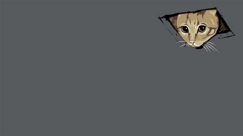 Zoom Background Funny Cat 99 Funny Zoom Virtual Backgrounds To