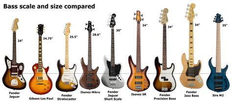Beginner Female Bass Guitar Suggestions Rbass