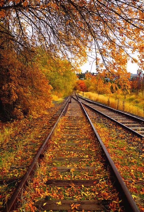 Switching To Autumn An Autumn Day On The Railroad Tracks Next To The