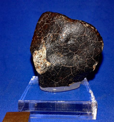 Meteorite Picture Of The Day From Tucson Meteorites