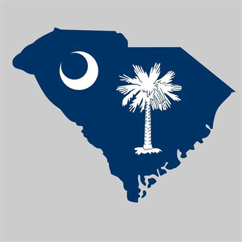 South Carolina State Flag Decal 24x24 Peelnstick